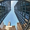 Between our Mies